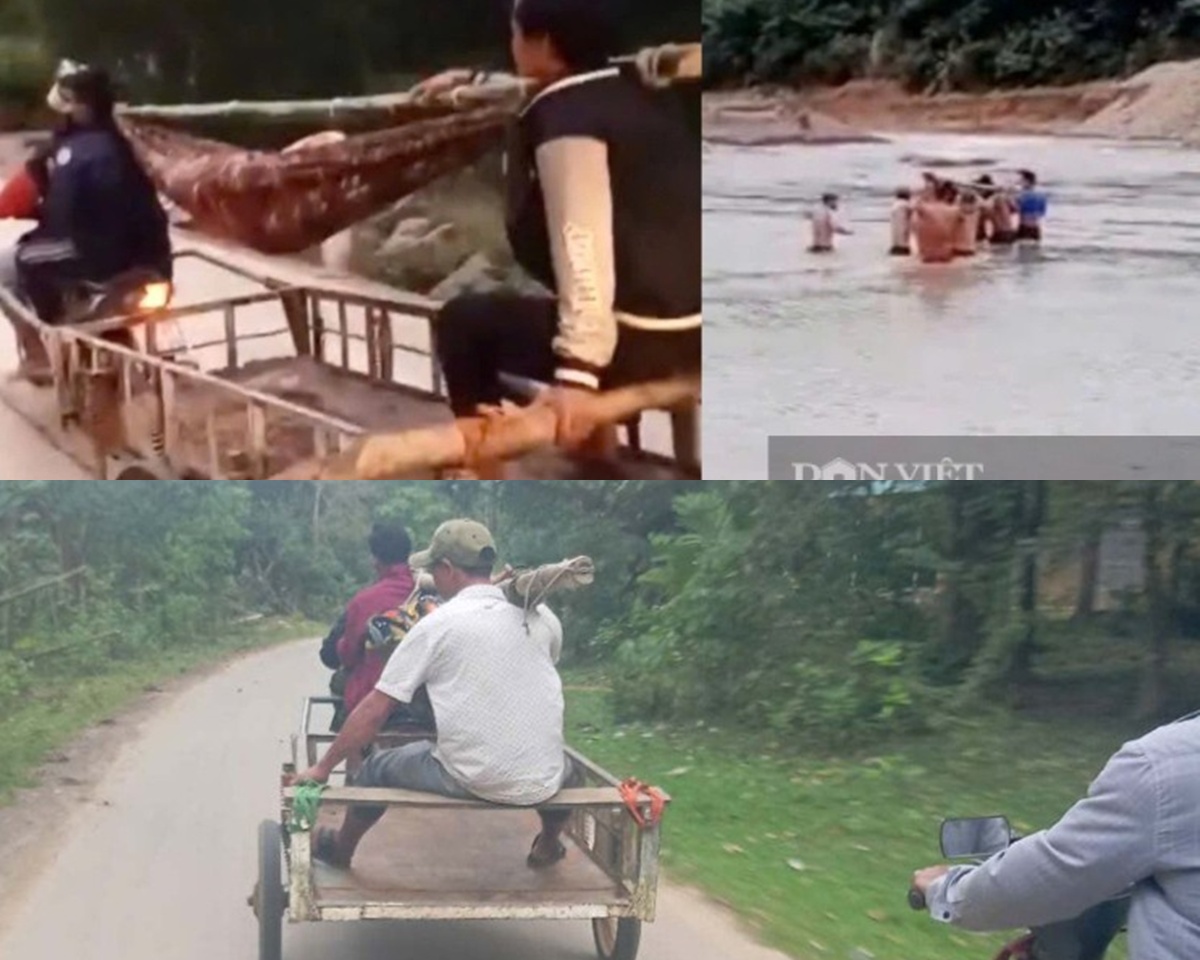 C&aacute;i kết nghẹn l&ograve;ng của người đ&agrave;n &ocirc;ng tử vong tr&ecirc;n con đường đi cấp cứu sạt lở, đứt g&atilde;y ở Quảng Trị