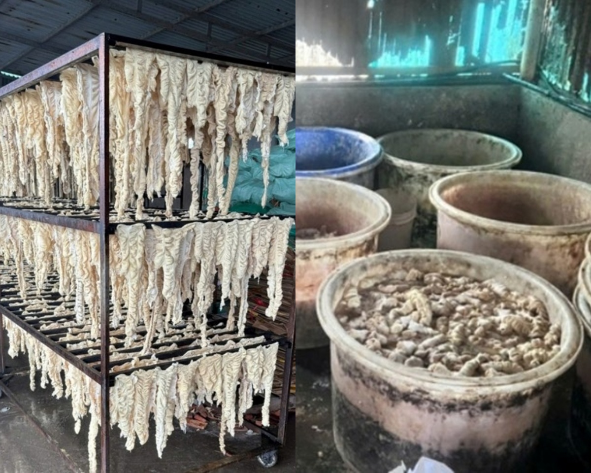 Hiện trường ph&aacute;t hiện h&agrave;ng chục tấn l&ograve;ng lợn, dạ d&agrave;y, ch&acirc;n g&agrave; \'bẩn\' trong một kho lạnh ở Hải Ph&ograve;ng