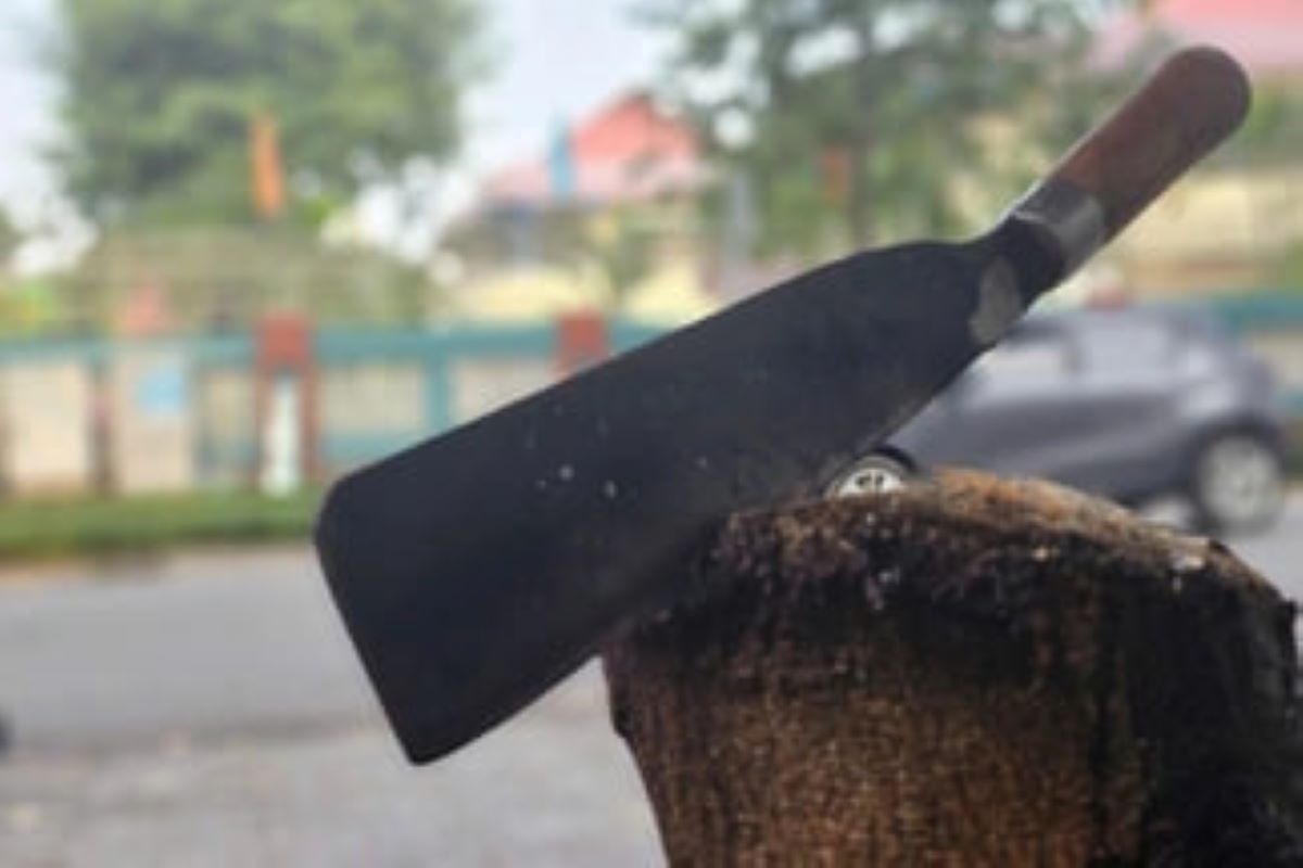 TPHCM: Nghẹt thở v&acirc;y bắt kẻ cầm dao rượt 3 mẹ con, cướp xe m&aacute;y rồi lẩn trốn v&agrave;o nơi kh&ocirc;ng ai ngờ tới 