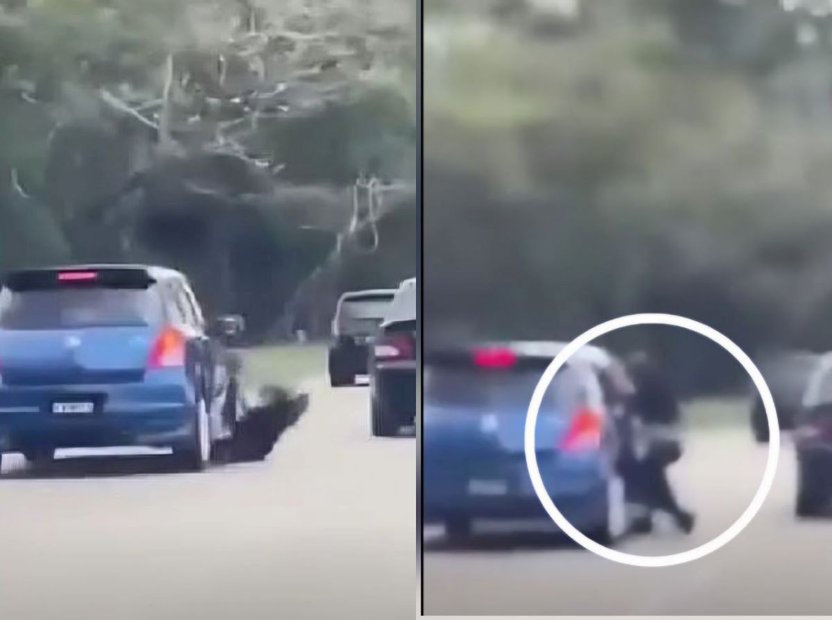 Chồng cũ liều mạng b&aacute;m xe vợ cũ suốt 2km: H&eacute; lộ c&aacute;i kết đắng sau kết quả x&eacute;t nghiệm