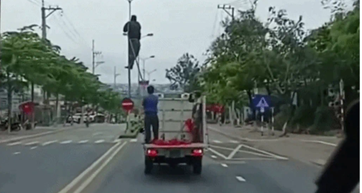 X&ocirc;n xao clip xe biển xanh chở người \