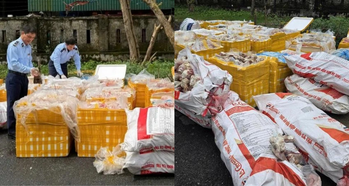 H&agrave; Tĩnh: Ph&aacute;t hiện xe tải chở hơn 2,6 tấn nội tạng, xương động vật kh&ocirc;ng r&otilde; nguồn gốc