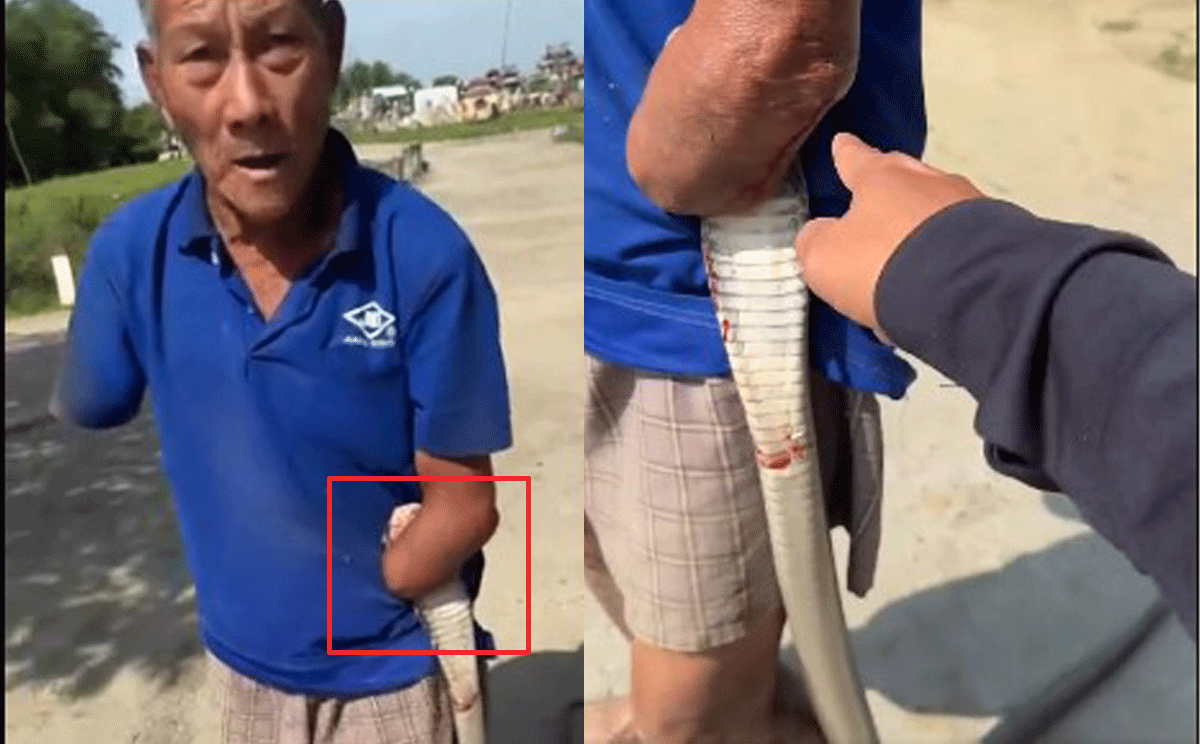 Cụ &ocirc;ng cụt 2 tay bắt rắn: Gia đ&igrave;nh h&eacute; lộ điều bất ngờ về cụ &ocirc;ng, người trong nghề đưa ra cảnh b&aacute;o