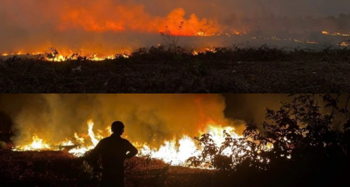 Hiện trường vụ ch&aacute;y tại khu t&aacute;i định cư 7 ha ở TP.HCM: Kh&oacute;i đen bốc cao, người d&acirc;n gồng m&igrave;nh dập lửa