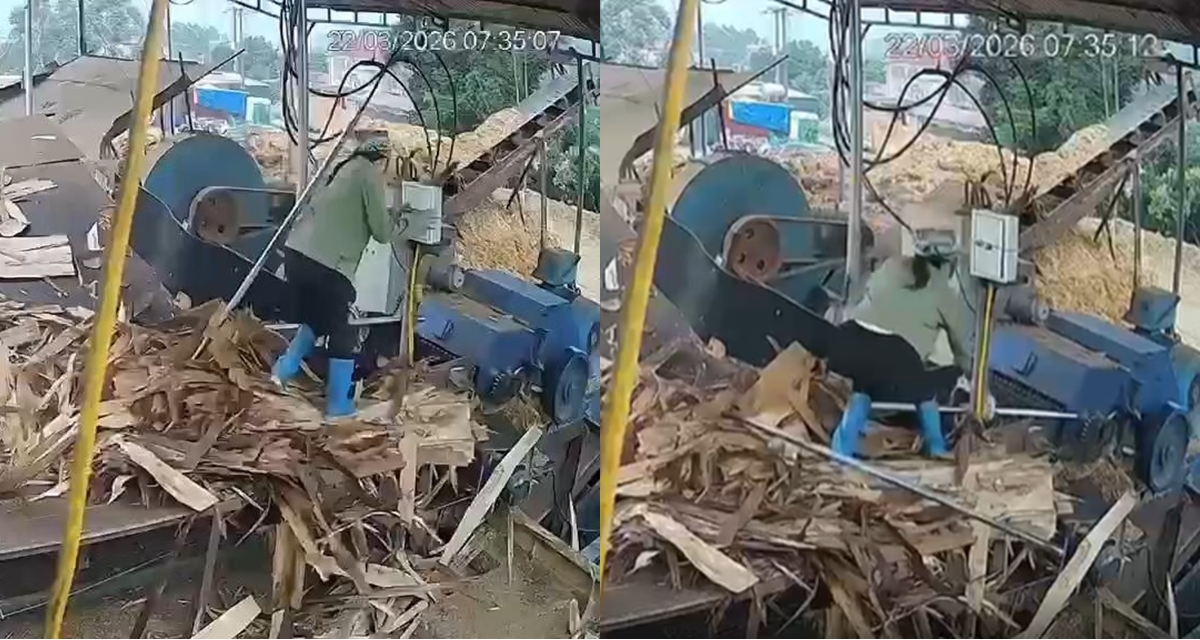 Hiện trường vụ người phụ nữ bị cuốn v&agrave;o m&aacute;y nghiền gỗ ở Bắc Ninh, camera ghi lại to&agrave;n bộ diễn biến