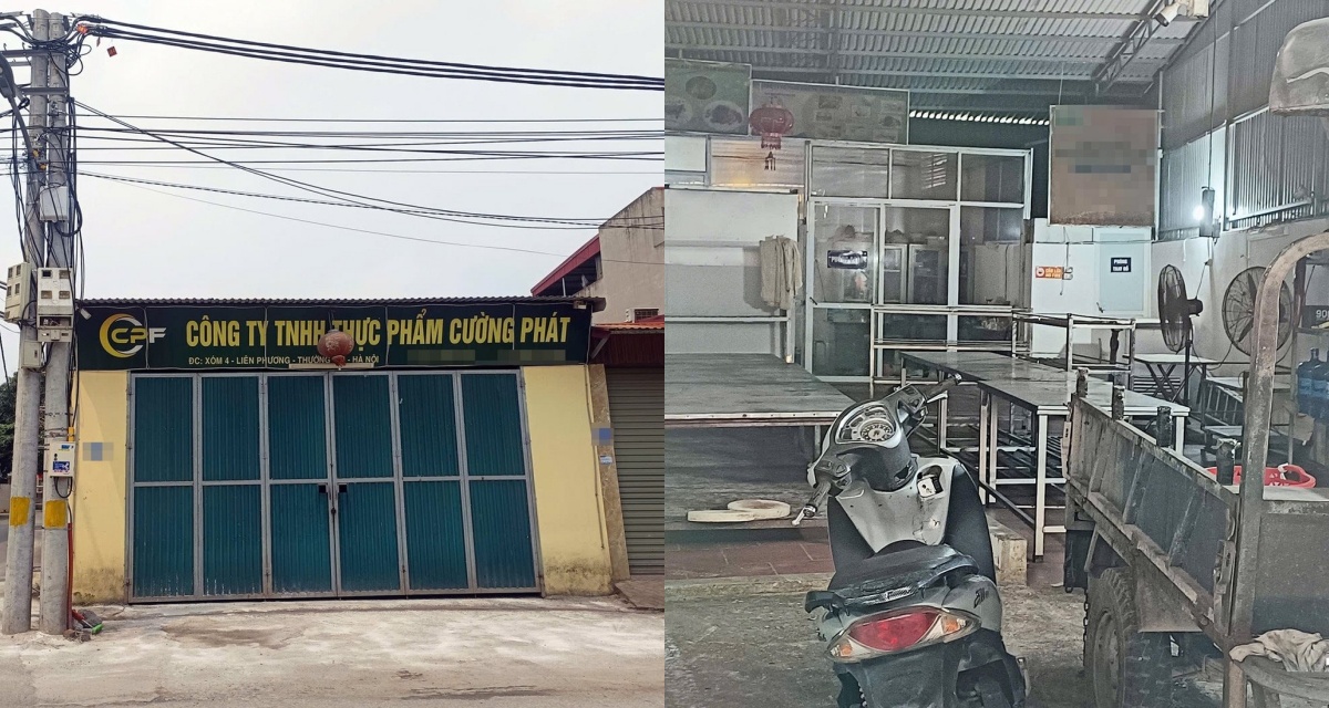 Đường đi thịt lợn bệnh v&agrave;o trường học H&agrave; Nội, c&ocirc;ng ty Cường Ph&aacute;t v&agrave; hệ thống cung cấp thực phẩm bị phanh phui 