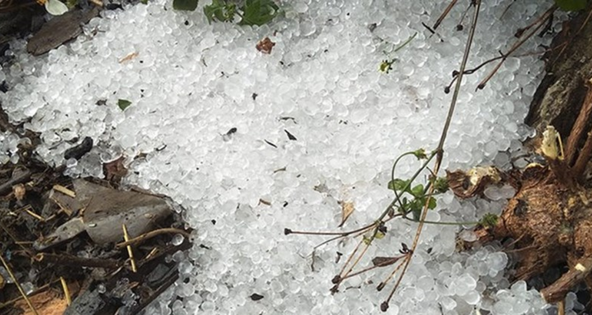 Đ&ecirc;m nay miền Bắc c&oacute; nguy cơ xuất hiện gi&ocirc;ng lốc v&agrave; mưa đ&aacute;