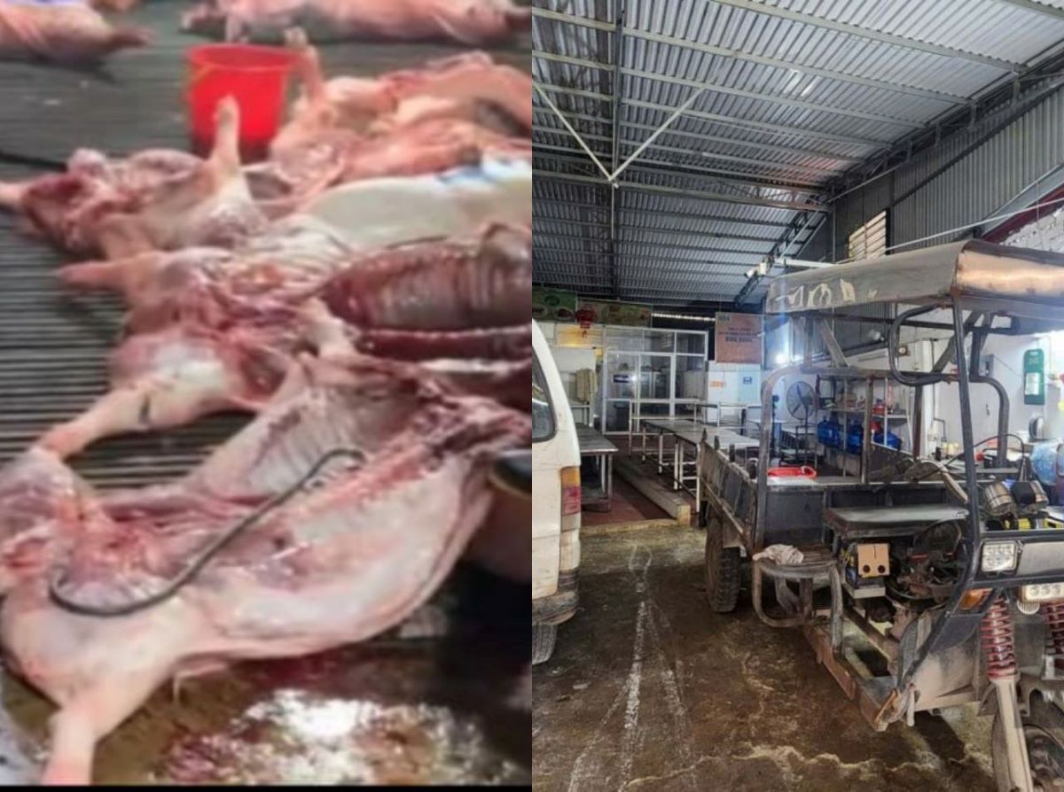 Vụ 300 tấn thịt lợn bệnh tr&agrave;n v&agrave;o trường học: C&ocirc;ng ty Suất ăn C&ocirc;ng nghiệp H&agrave; Nội l&ecirc;n tiếng k&ecirc;u oan