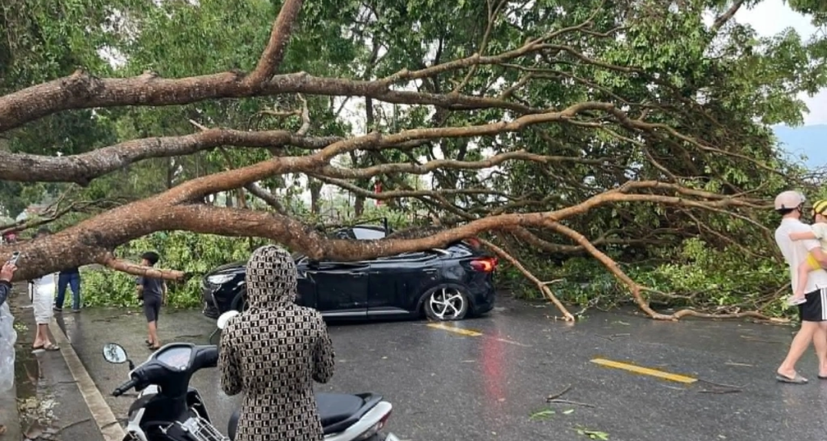 Miền Bắc sắp đ&oacute;n mưa gi&ocirc;ng, nguy cơ mưa đ&aacute; từ chiều nay