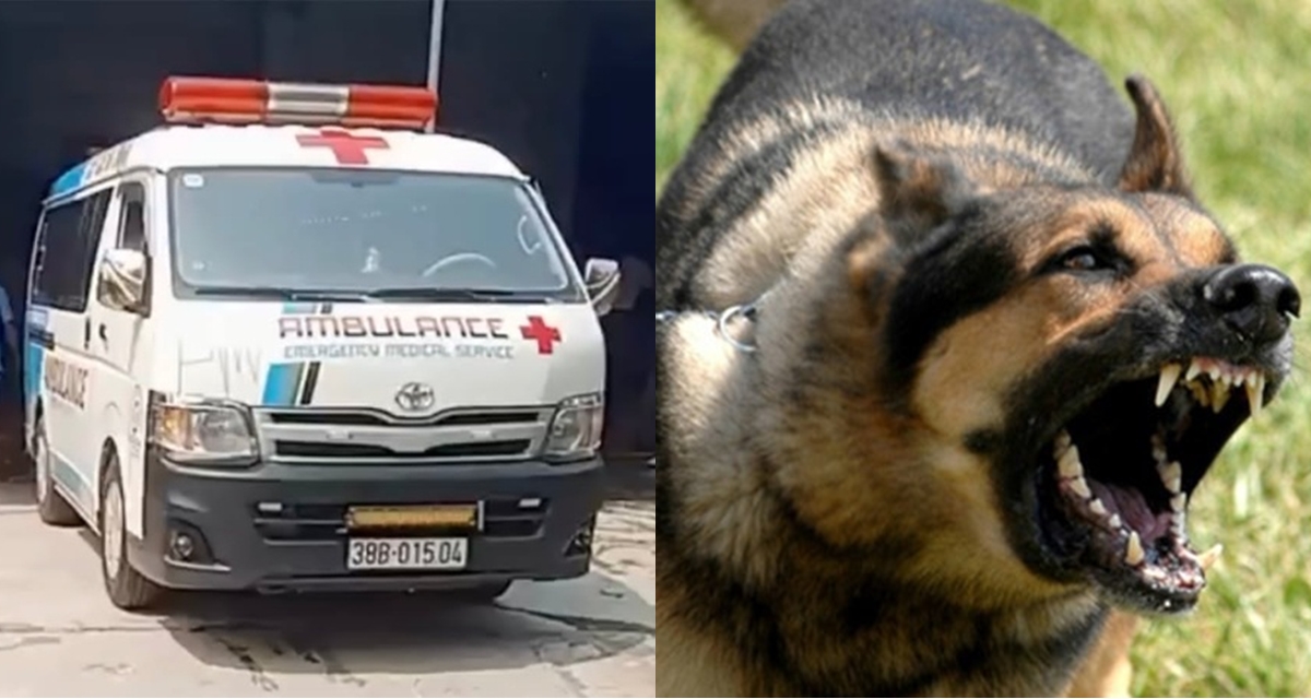 H&agrave; Tĩnh: Nguồn cơn vụ &ocirc;ng l&atilde;o 83 tuổi bị ch&oacute; nh&agrave; cắn tử vong, tr&iacute;ch xuất camera ghi lại g&igrave;?