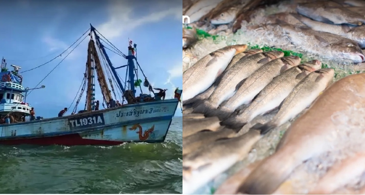 Gi&aacute; xăng dầu tăng vọt l&ecirc;n hơn 30.000 đồng/l&iacute;t, 1 quốc gia gần Việt Nam cảnh b&aacute;o 70% t&agrave;u c&aacute; dừng hoạt động