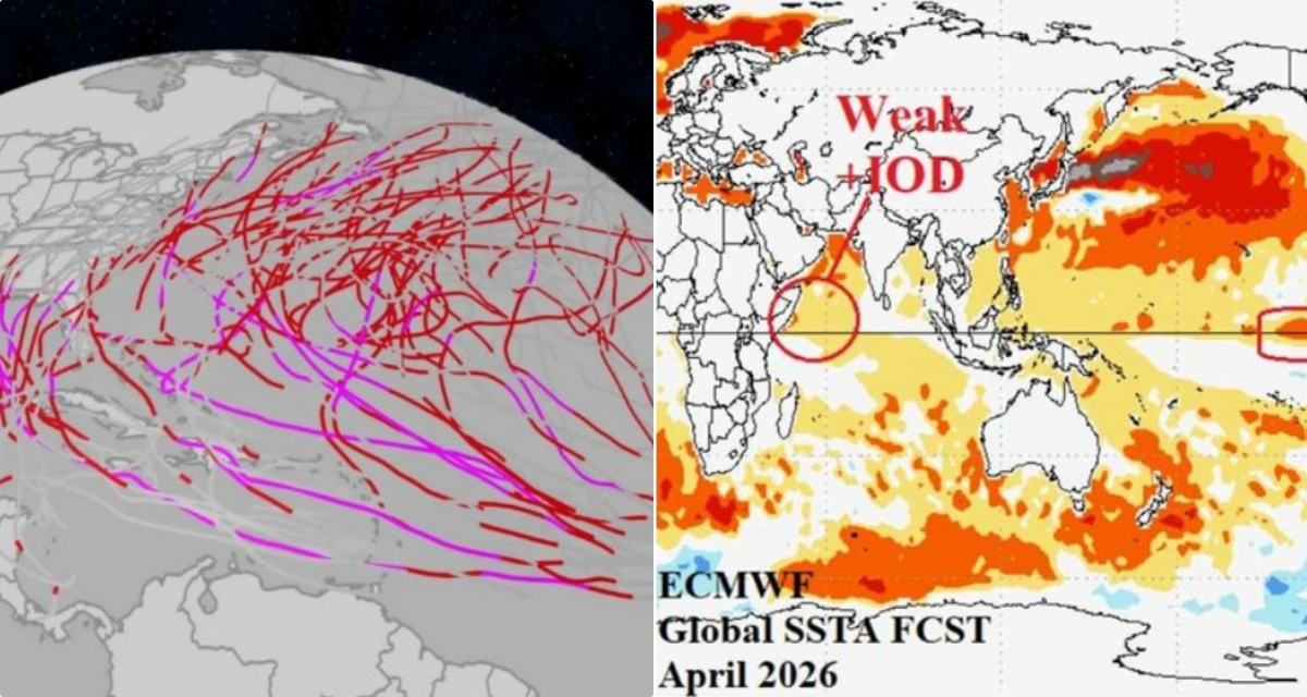 Cảnh b&aacute;o El Nino mạnh nhất 140 năm c&oacute; thể đảo lộn m&ugrave;a b&atilde;o 2026, Việt Nam đối mặt nguy cơ n&agrave;o?