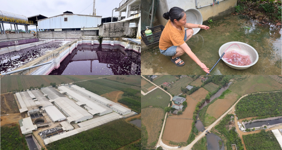 Nước giếng đổi m&agrave;u, h&agrave;ng chục hộ d&acirc;n thiếu nước: Nh&agrave; m&aacute;y giặt l&agrave; ở Thanh H&oacute;a bị dừng hoạt động