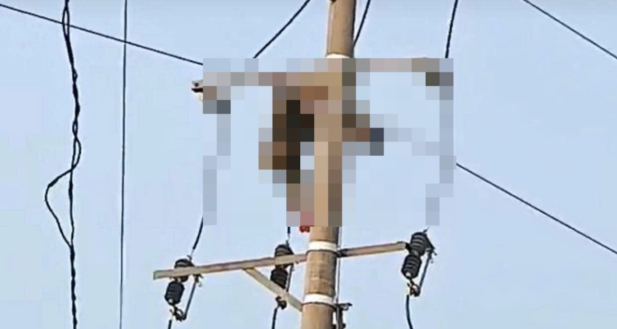 Hiện trường nam sinh lớp 9 tr&egrave;o cột điện bắt chim, điện giật tử vong: Ho&agrave;n cảnh gia đ&igrave;nh x&oacute;t xa 