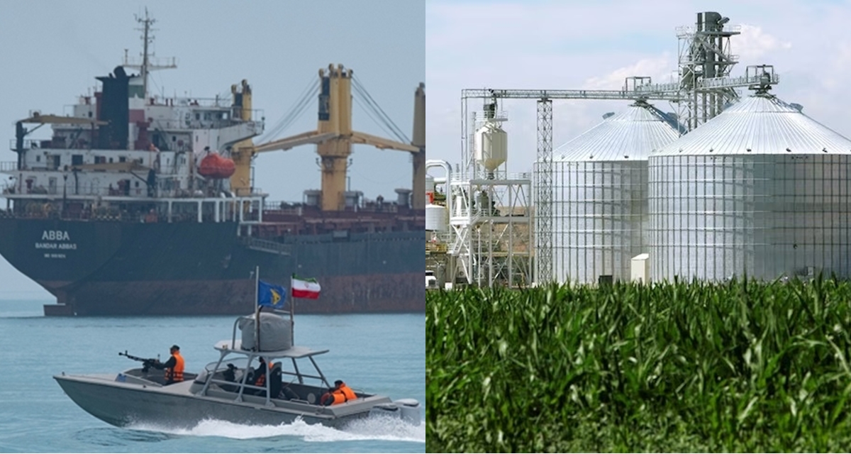 Gi&aacute; xăng dầu đắt đỏ, ch&acirc;u &Aacute; chuyển sang d&ugrave;ng loại nhi&ecirc;n liệu kh&aacute;c thay thế, Việt Nam đ&atilde; c&oacute; 6 nh&agrave; m&aacute;y lớn