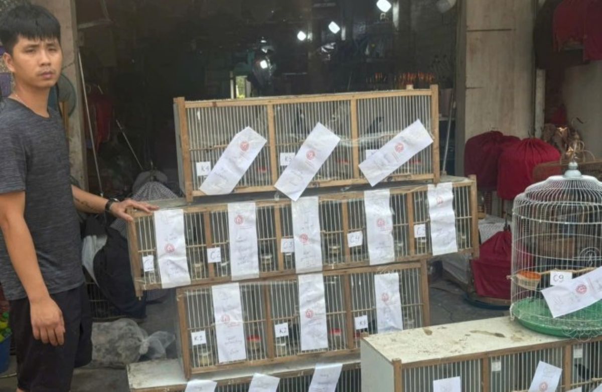 Khởi tố chủ cơ sở nu&ocirc;i nhốt 20 c&aacute; thể chim qu&yacute; hiếm tr&aacute;i ph&eacute;p để kinh doanh, từng vi phạm trước đ&oacute;