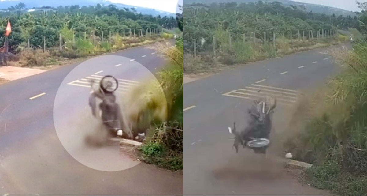 Cựu Thiếu t&aacute; CSGT kh&ocirc;ng cứu nam sinh lớp 12 gặp tai nạn ở Đắk Lắk đối diện h&igrave;nh phạt n&agrave;o?