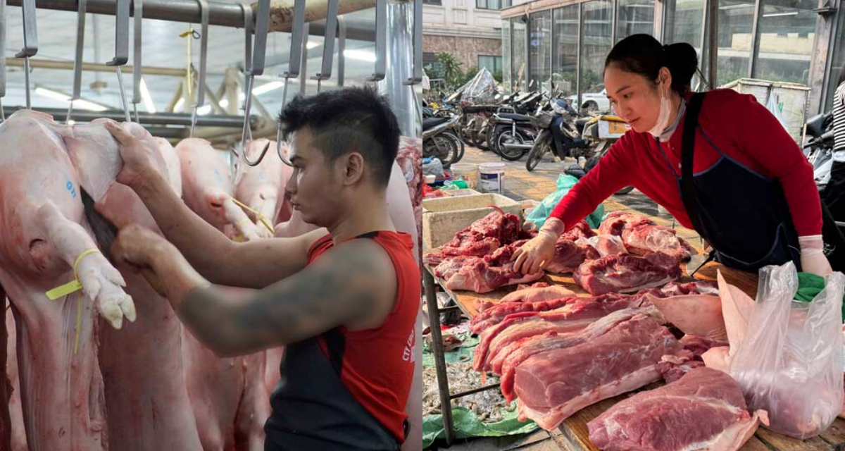 Gi&aacute; heo hơi h&ocirc;m nay 1/5: Chợ đầu mối quay đầu giảm, thị trường trầm lặng trong nghỉ lễ