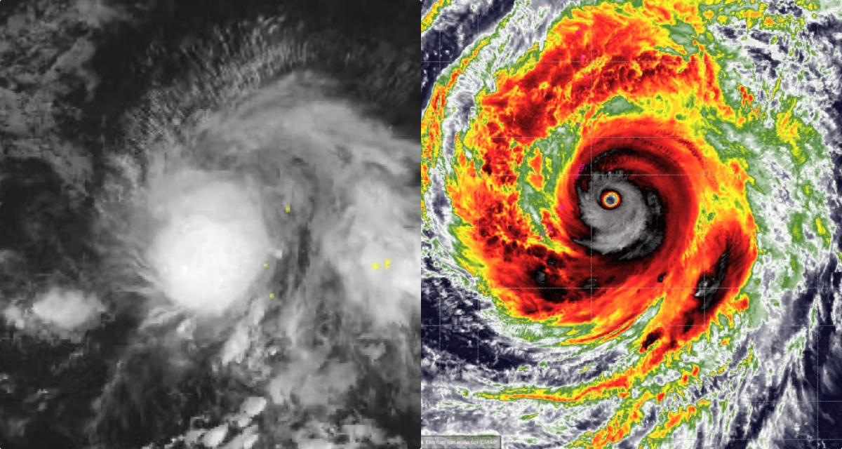 Tin b&atilde;o mới nhất: B&atilde;o Hagupit giật cấp 10, Việt Nam cảnh gi&aacute;c nguy cơ thời tiết cực đoan kh&oacute; lường