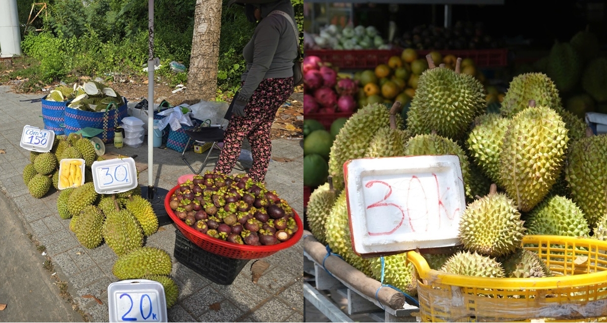 Sầu ri&ecirc;ng miền T&acirc;y rớt gi&aacute; chưa từng c&oacute; c&ograve;n 20.000 đồng/kg, l&yacute; do sầu Ph&uacute; Quốc vẫn cao gấp 3-4 lần