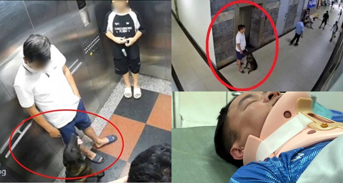 Vụ đ&aacute;nh người trong chung cư v&igrave; bị nhắc đeo rọ m&otilde;m cho ch&oacute;: Đ&atilde; nhiều lần vi phạm, h&agrave;ng x&oacute;m nghe đến l&agrave; sợ