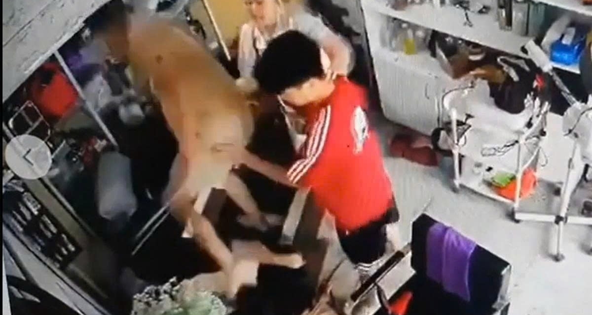 C&ocirc;ng an th&ocirc;ng tin vụ người phụ nữ &ocirc;m con nhỏ bị đ&agrave;n &ocirc;ng h&agrave;nh hung ở H&agrave; Nội, nguồn cơn từ đ&acirc;u?
