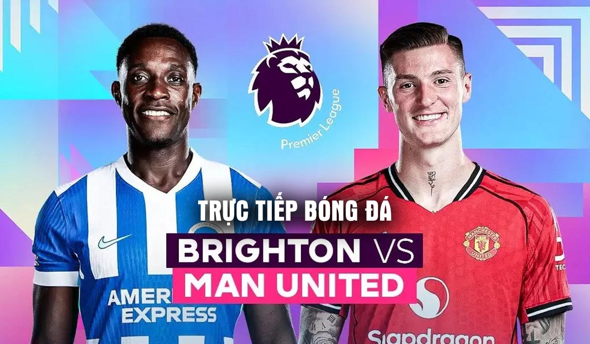 Xem trực tiếp b&oacute;ng đ&aacute; Brighton vs Man Utd ở đ&acirc;u, k&ecirc;nh n&agrave;o? Link xem trực tiếp Ngoại hạng Anh v&ograve;ng 38