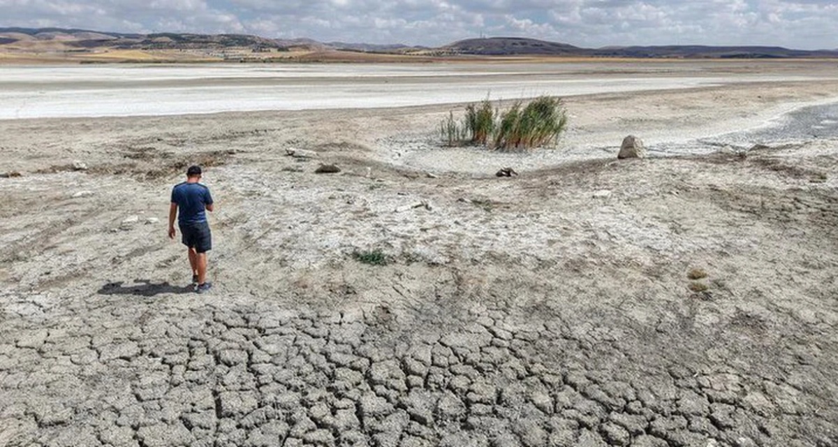 El Ni&ntilde;o quay lại, WMO c&ocirc;ng bố kịch bản thời tiết từ nay đến cuối năm v&agrave; những t&aacute;c động tr&ecirc;n phạm vi to&agrave;n cầu