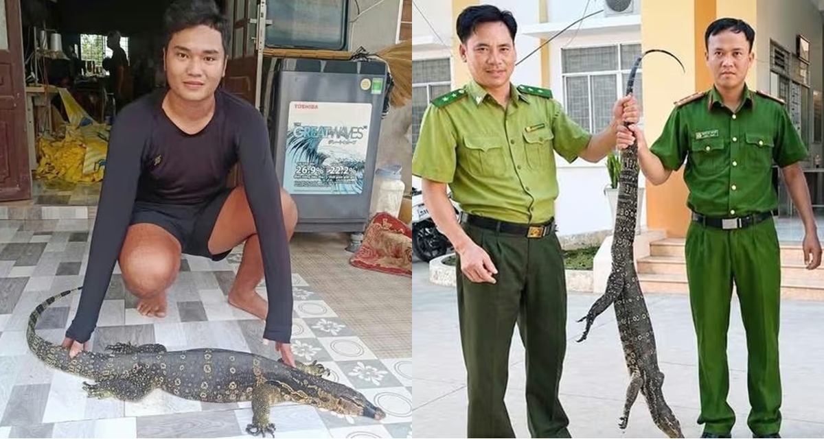 T&acirc;y Ninh: Ph&aacute;t hiện lo&agrave;i vật qu&yacute; hiếm nặng 6,5kg xuất hiện sau nh&agrave; d&acirc;n, to&agrave;n th&acirc;n c&oacute; &lsquo;k&yacute; tự đặc biệt&rsquo;