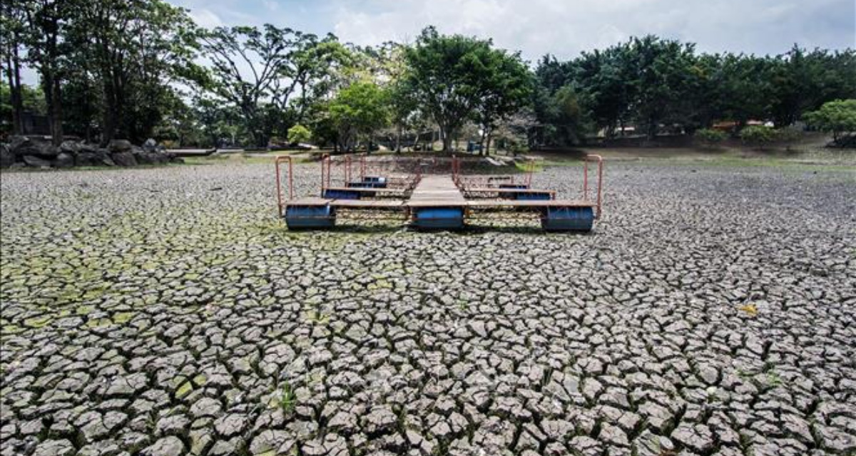 El Nino trở lại sau thời gian chuyển pha, dự b&aacute;o cuối năm xuất hiện kịch bản &iacute;t người mong đợi
