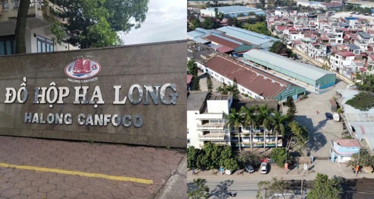 Đồ hộp Hạ Long ch&iacute;nh thức khởi động lại tại Hải Ph&ograve;ng sau thời gian gi&aacute;n đoạn, kế hoạch tiếp theo trong năm 2026 l&agrave; g&igrave;? 