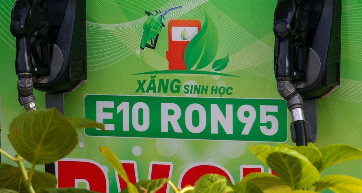 Gi&aacute; xăng dầu h&ocirc;m nay 24/6: Xăng E10 c&oacute; thể giảm s&acirc;u về mốc 20.000 đồng? Bảng gi&aacute; Petrolimex, PVOIL