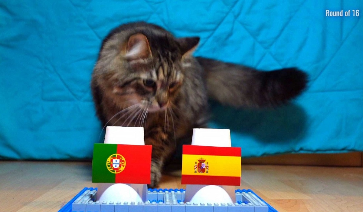 Dự đo&aacute;n kết quả Bồ Đ&agrave;o Nha vs T&acirc;y Ban Nha - World Cup 2026: M&egrave;o ti&ecirc;n tri khiến Ronaldo mừng thầm