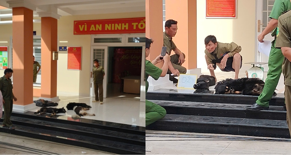 Hai đối tượng nghi trộm ch&oacute; gặp tai nạn tr&ecirc;n đường đưa ch&oacute; đi b&aacute;n, liều lĩnh r&uacute;t s&uacute;ng điện ra đe dọa