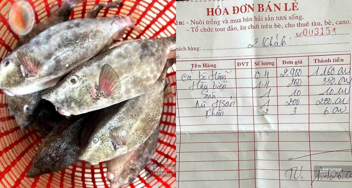 L&yacute; do chủ b&egrave; nổi ở Nha Trang b&aacute;n c&aacute; b&ograve; h&ograve;m 2,9 triệu đồng/kg bị xử phạt hơn 20 triệu đồng