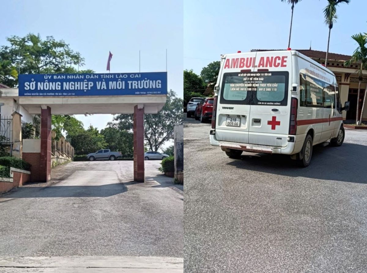 Ph&aacute;t hiện c&aacute;n bộ tử vong trong tư thế lạ ở trụ sở Sở N&ocirc;ng nghiệp v&agrave; M&ocirc;i trường L&agrave;o Cai
