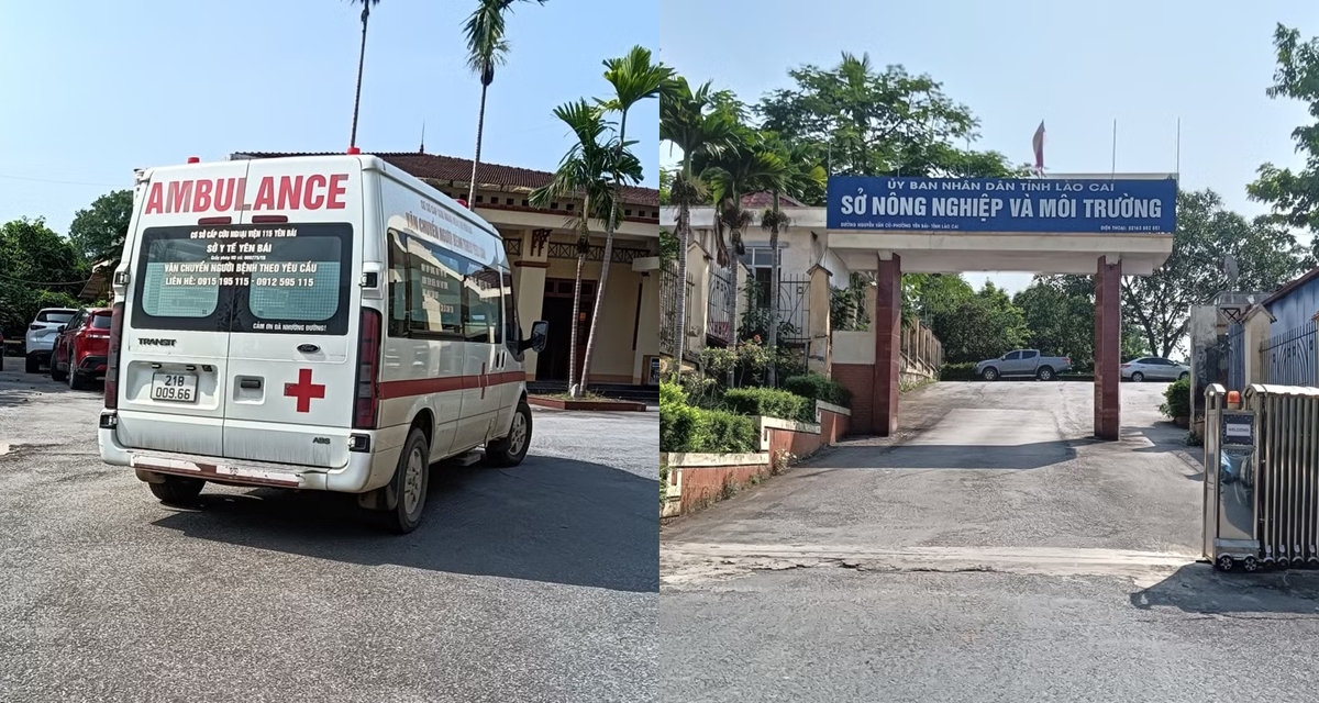 Th&ocirc;ng tin đ&aacute;ng ch&uacute; &yacute; về nam c&aacute;n bộ Sở N&ocirc;ng nghiệp v&agrave; M&ocirc;i trường L&agrave;o Cai tử vong tại cơ quan với tư thế lạ