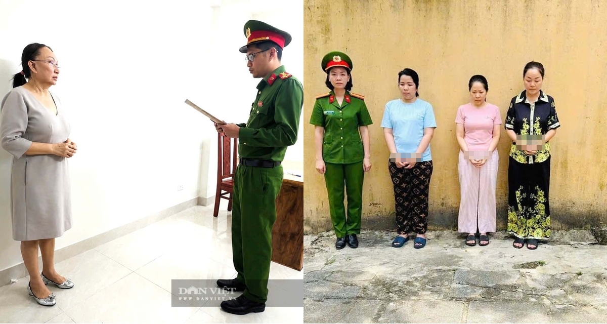 L&yacute; do h&agrave;ng loạt chủ tiệm v&agrave;ng lớn ở TP HCM bị c&ocirc;ng an khởi tố, thu giữ 1.239 vi&ecirc;n kim cương v&agrave; tang vật