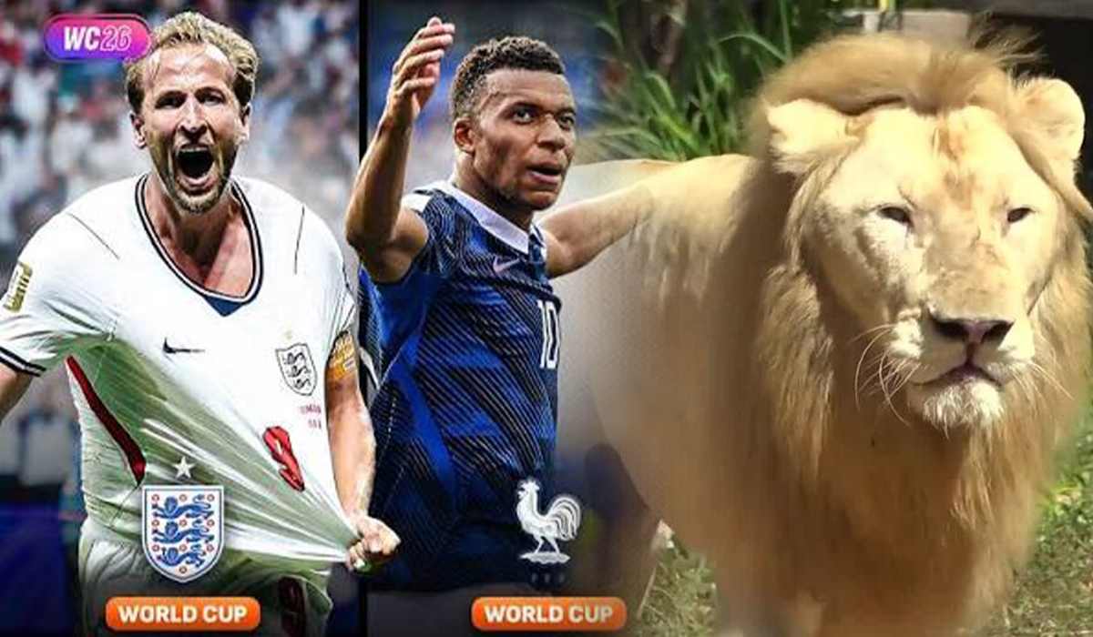 Dự đo&aacute;n kết quả Ph&aacute;p vs Anh, 4h ng&agrave;y 19/7 - Tranh hạng 3 World Cup 2026: Sư tử \'ti&ecirc;n tri\' g&acirc;y sốt