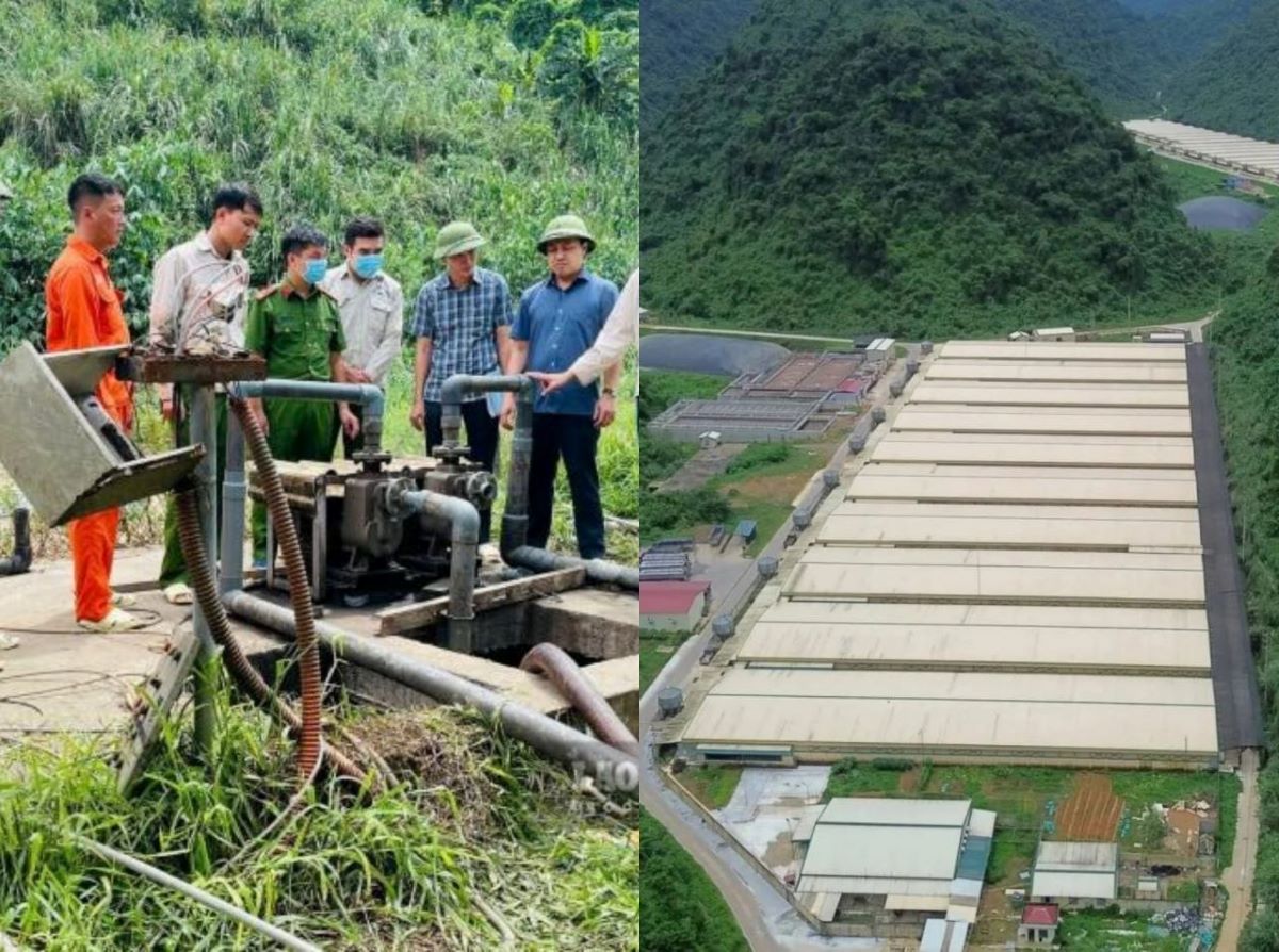 Hiện trường vụ tai nạn lao động tại trang trại lợn ở Thanh H&oacute;a: Nhiều t&igrave;nh tiết đang l&agrave;m r&otilde;