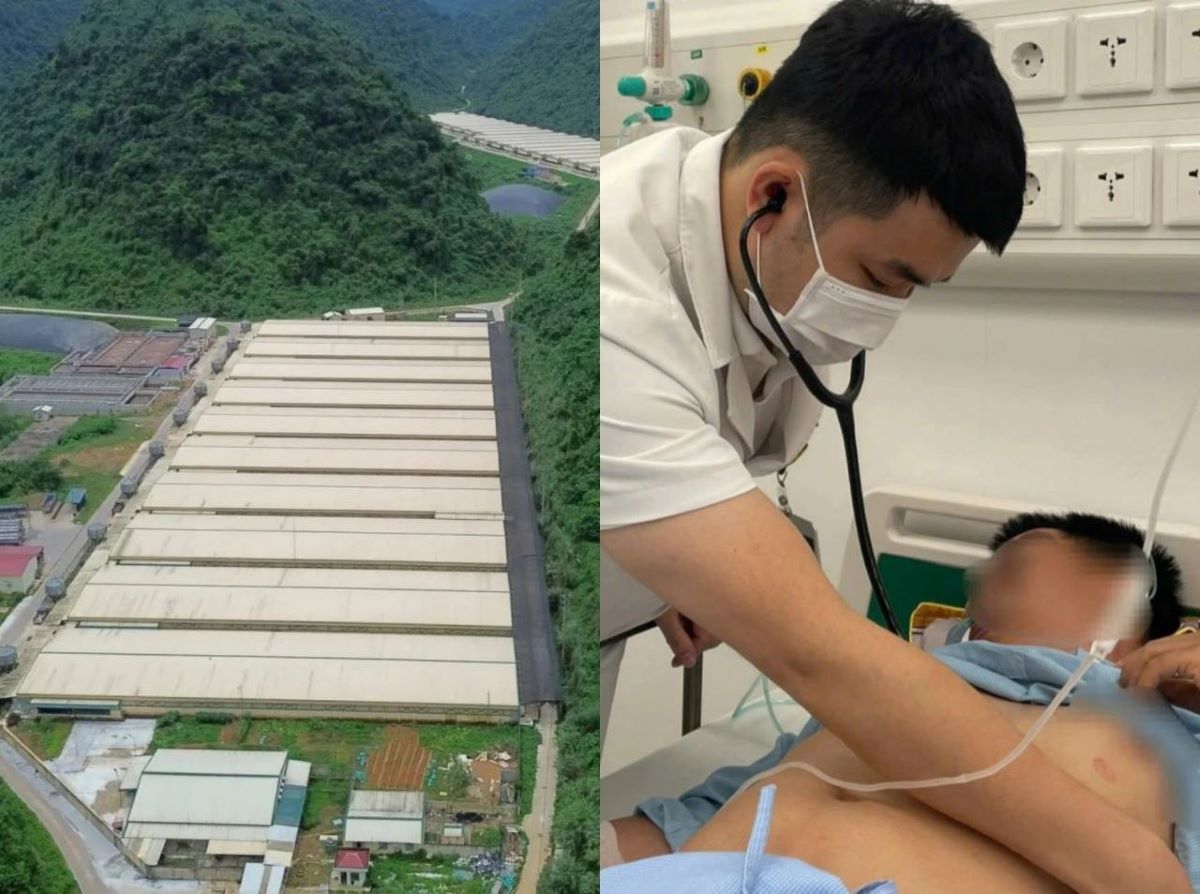Vụ tai nạn lao động ở trang trại lợn Thanh H&oacute;a: Cập nhật mới nhất về 8 nạn nh&acirc;n sống s&oacute;t