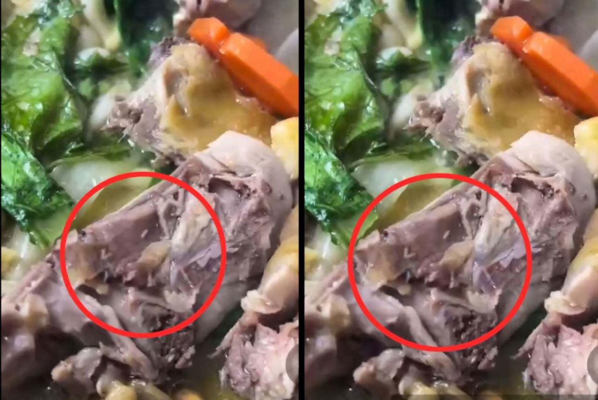 Vụ cỗ t&acirc;n gia nghi c&oacute; d&ograve;i trong m&oacute;n g&agrave; ở Đắk Lắk: Chủ cơ sở nấu tiệc l&ecirc;n tiếng 