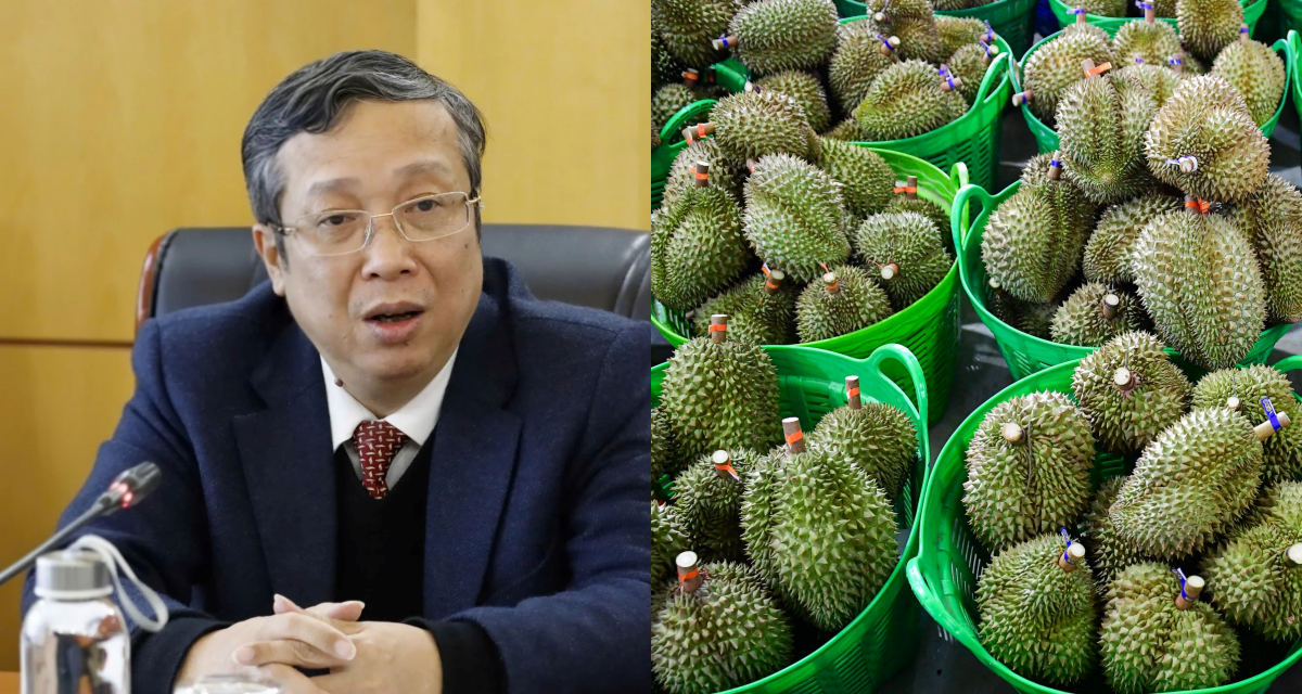 Thứ trưởng c&ugrave;ng loạt c&aacute;n bộ bị bắt, g&oacute;c khuất trong cấp m&atilde; số v&ugrave;ng trồng sầu ri&ecirc;ng được h&eacute; mở