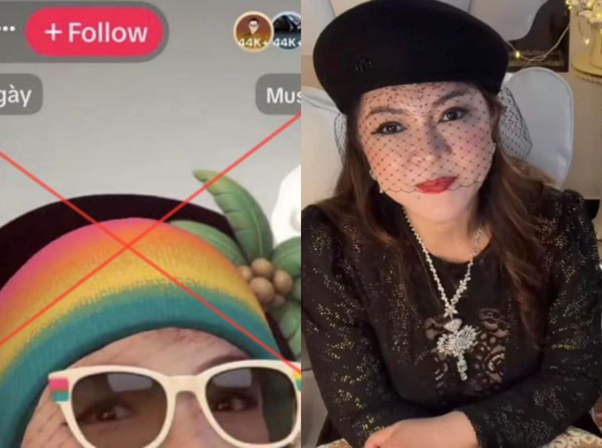 V&igrave; sao livestream b&agrave; Nguyễn Phương Hằng với nội dung chửi bới vẫn thu h&uacute;t h&agrave;ng triệu người xem?