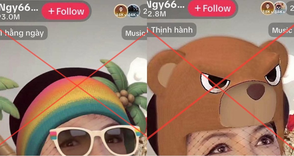 L&yacute; do thật sự khiến phi&ecirc;n livestream của b&agrave; Nguyễn Phương Hằng li&ecirc;n tục bị kh&oacute;a tr&ecirc;n TikTok