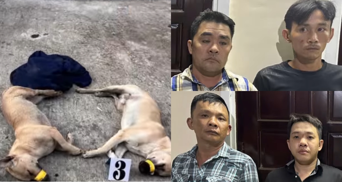 Ch&acirc;n dung nh&oacute;m trộm ch&oacute; d&ugrave;ng s&uacute;ng tự chế bắn thượng &uacute;y c&ocirc;ng an bị thương ở Cần Thơ rồi bỏ trốn