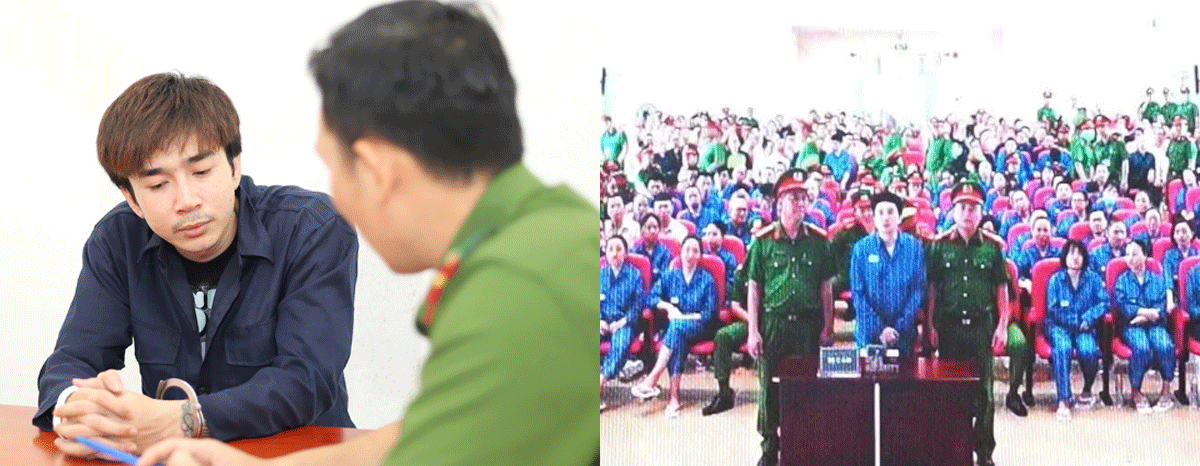 C&ocirc;ng bố kết quả việc Chi D&acirc;n chỉ sử dụng ma t&uacute;y hay cả tổ chức sử dụng? Chi D&acirc;n c&oacute; t&igrave;nh tiết giảm nhẹ?