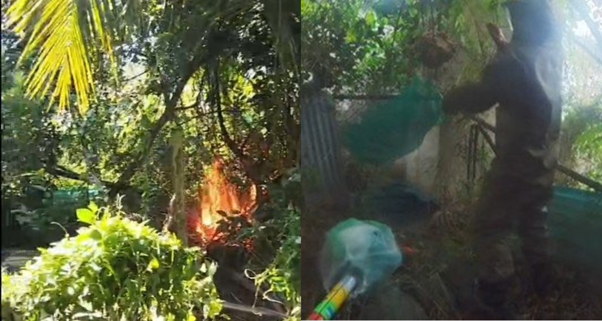 Kh&ocirc;ng c&oacute; ph&eacute;p m&agrave;u đến với người phụ nữ 63 tuổi bị ong v&ograve; vẽ đốt gần 100 mũi ở T&acirc;y Ninh