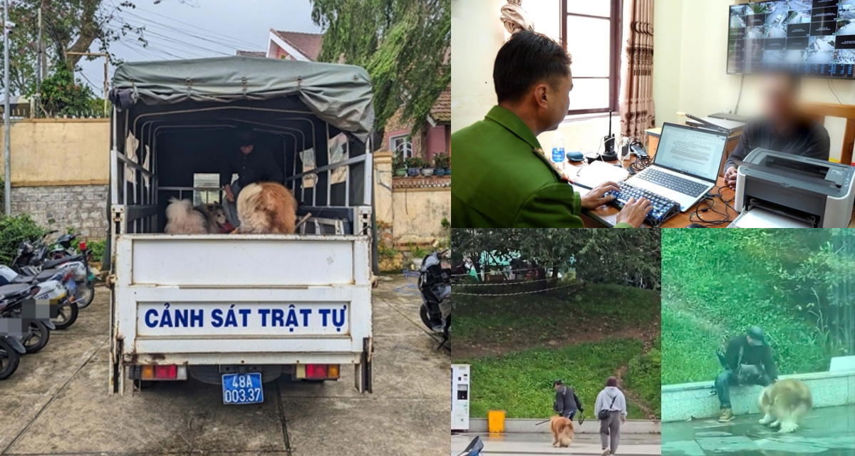 Người đ&agrave;n &ocirc;ng đ&aacute;nh, lấy gậy chọc ch&oacute; cảnh ở Quảng trường L&acirc;m Vi&ecirc;n giải th&iacute;ch l&yacute; do