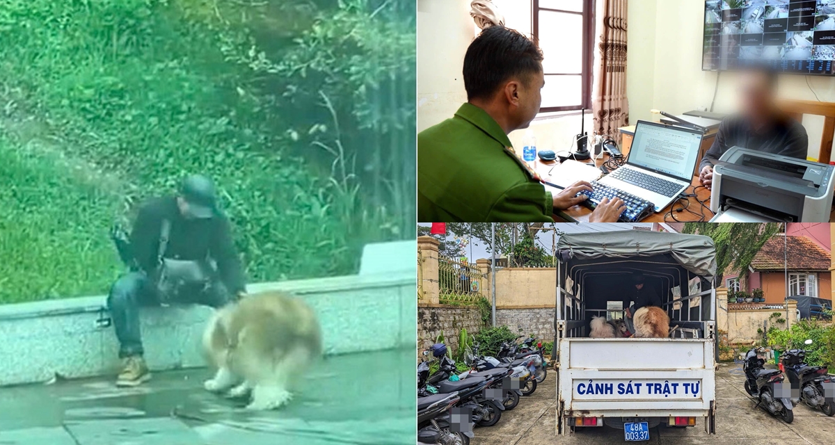 Người đ&agrave;n &ocirc;ng đ&aacute;nh, lấy gậy chọc ch&oacute; cảnh ở Quảng trường L&acirc;m Vi&ecirc;n giải th&iacute;ch l&yacute; do